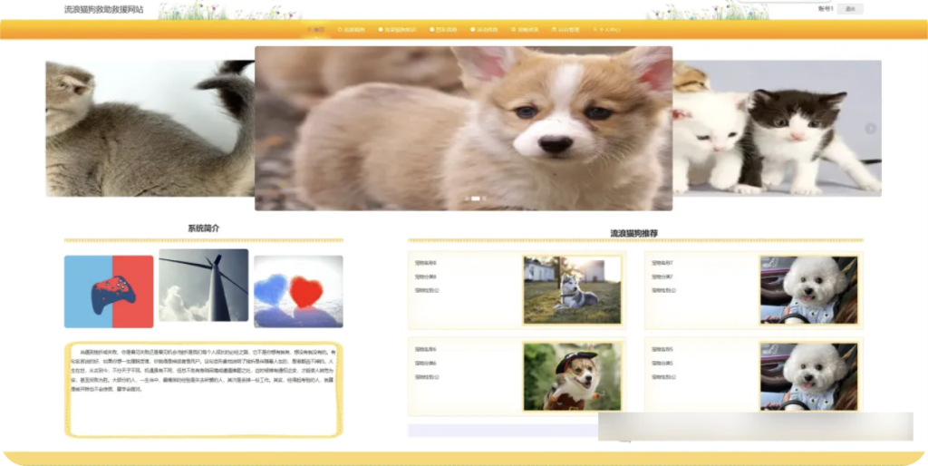 图片[2]-基于springboot的流浪猫狗救助管理系统-源码屋